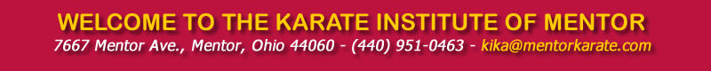 Karate Institute of Mentor