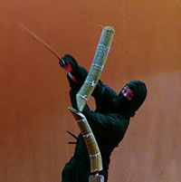 Karate Institute Facebook Page